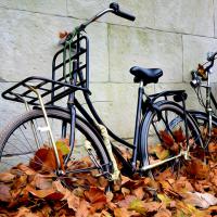 Vélo mille-feuilles