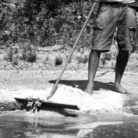 apporter son grain de sel